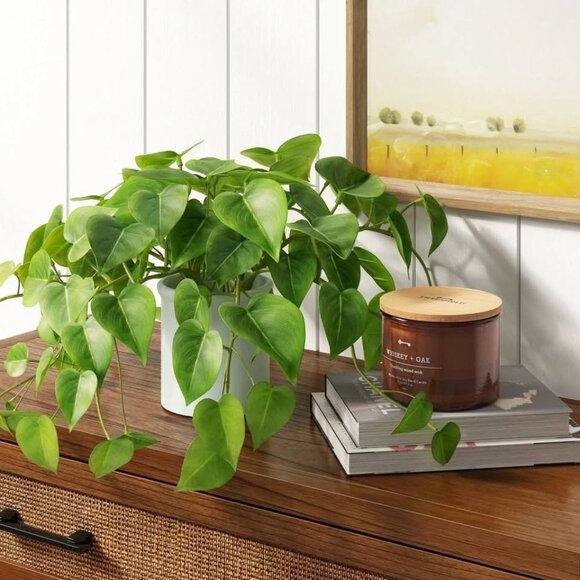 14"x28" Artificial Pothos Plant in White Ceramic Pot - Threshold - Target 2023 - Picture 2 of 8